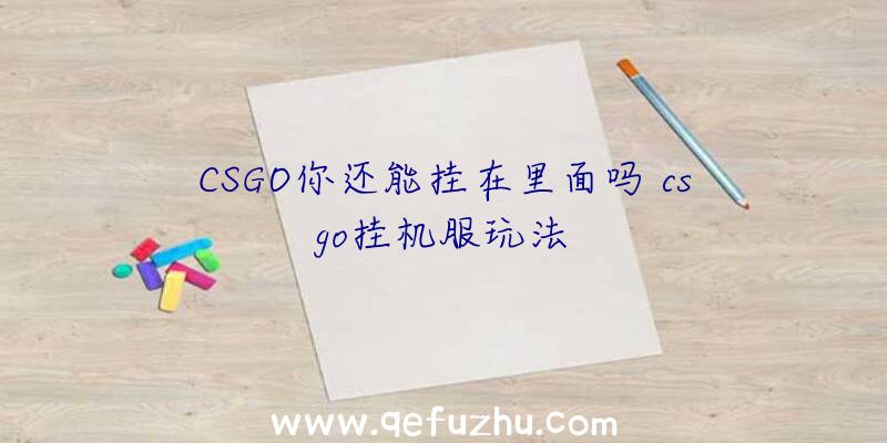 CSGO你还能挂在里面吗